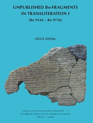 bokomslag Unpublished Bo-Fragments in Transliteration I