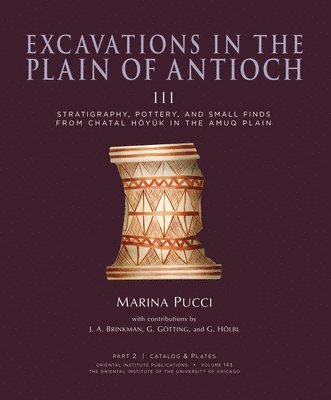 bokomslag Excavations in the Plain of Antioch Volume III