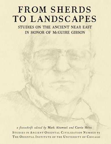 Mark Altaweel, Carrie Hritz - From Sherds to Landscapes, Häftad