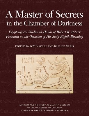 Master of Secrets in the Chamber of Darkness