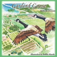 bokomslag Gaylord Goose