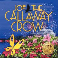 bokomslag Joe the Callaway Crow