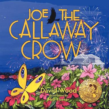 bokomslag Joe the Callaway Crow