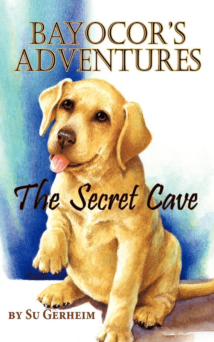 Bayocor Adventures, The Secret Cave 1