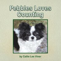 bokomslag Pebbles Loves Counting