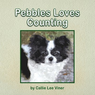 Pebbles Loves Counting 1