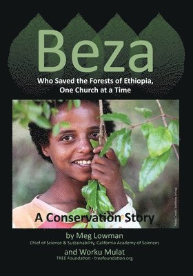 Beza, Who Saved the Forests of Ethiopia, One Church at a Time - A Conservation Story 1