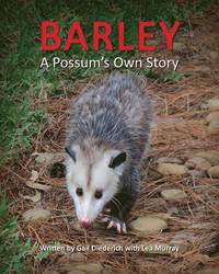 bokomslag Barley, a Possum's Own Story