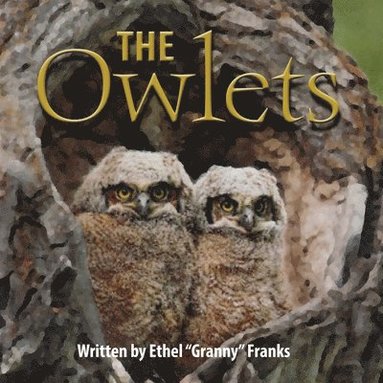 bokomslag The Owlets