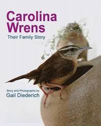 bokomslag Carolina Wrens