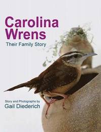 bokomslag Carolina Wrens