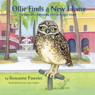 Ollie Finds a New Home, The Story of a Burrowing Owl on Marco Island 1