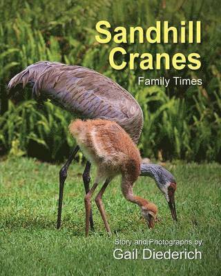 Sandhill Cranes, Family Times 1