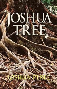 bokomslag Joshua Tree