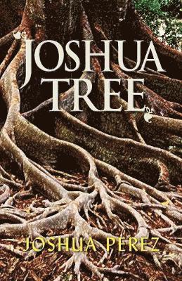 Joshua Tree 1