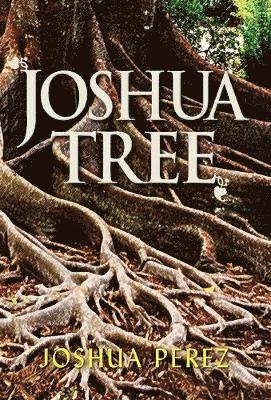Joshua Tree 1