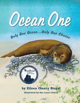 bokomslag Ocean One