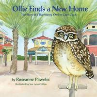 bokomslag Ollie Finds a New Home