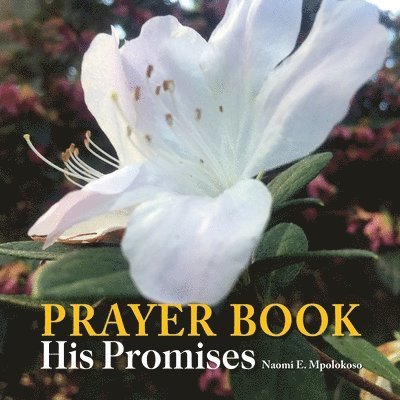 Prayer Book 1