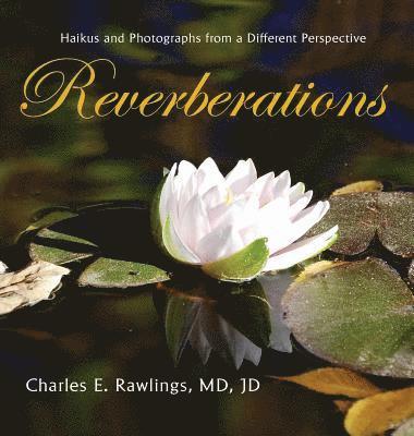 Reverberations 1