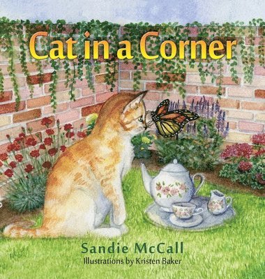 Cat in a Corner 1