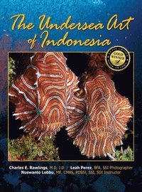 bokomslag The Undersea Art of Indonesia