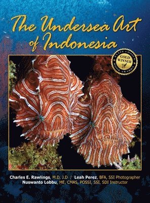 bokomslag The Undersea Art of Indonesia