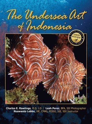 bokomslag Undersea Art of Indonesia