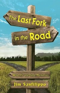 bokomslag The Last Fork in the Road