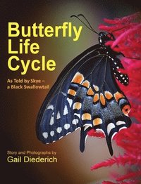 bokomslag Butterfly Life Cycle