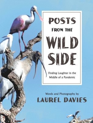 bokomslag Posts From The Wild Side, Finding Laughter in the Middle of a Pandemic