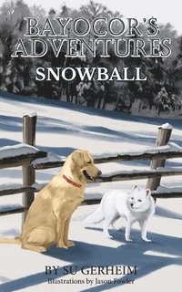 bokomslag Bayocor's Adventures, Snowball