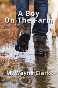 bokomslag A Boy On The Farm