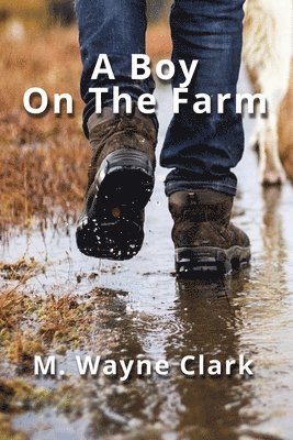 bokomslag Boy On The Farm
