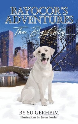 Bayocor's Adventures, The Big City 1