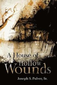 bokomslag A House of Hollow Wounds