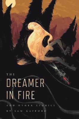 bokomslag The Dreamer in Fire and Other Stories