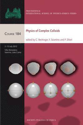 C. Bechinger, Francesco Sciortino, Primož Ziherl - Physics of Complex Colloids, Inbunden