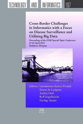 Lacramioara Stoicu-Tivadar, Simon de Lusignan, Andrej Orel, Rolf Engelbrecht - Cross-Border Challenges in Informatics with a Focus on Disease Surveillance and Utilising Big Data, Häftad