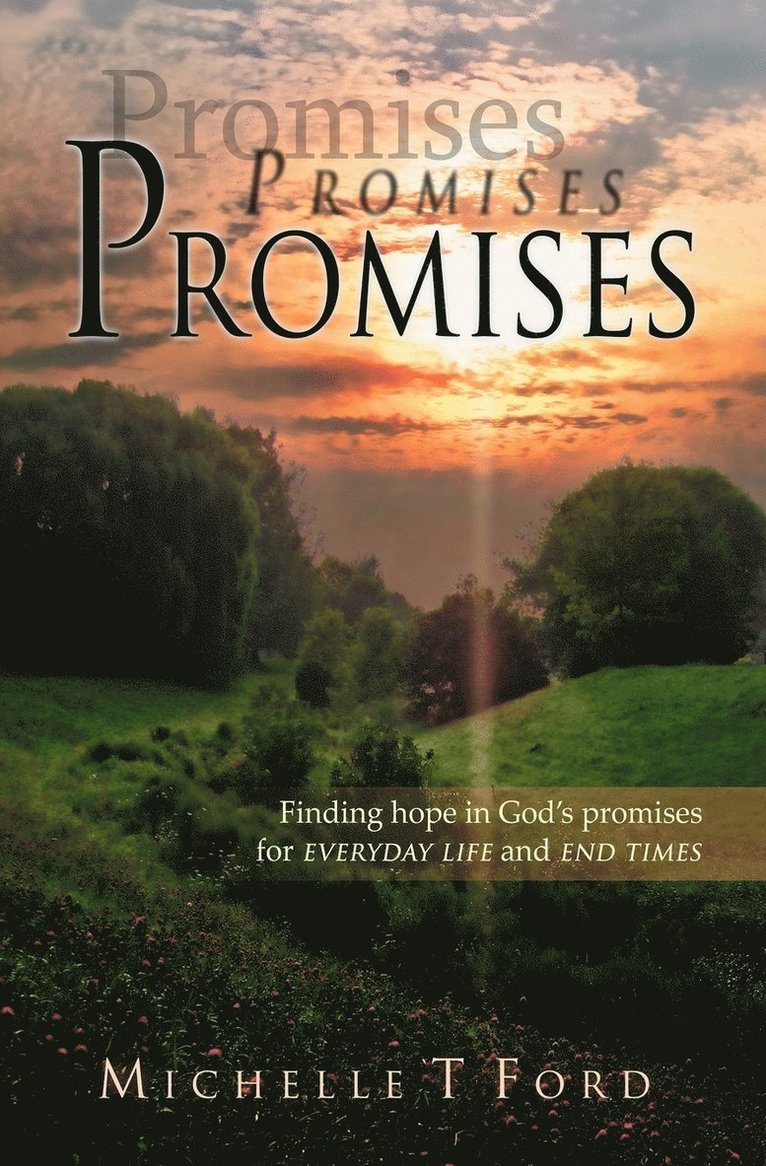Promises, Promises, Promises