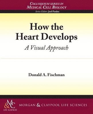 Donald Fischman, Donald A. Fischman - How the Heart Develops, Häftad