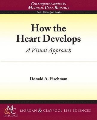 How the Heart Develops 1