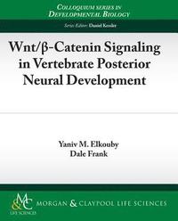 bokomslag Wnt/?-Catenin Signaling in Vertebrate Posterior Neural Development