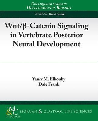 Wnt/?-Catenin Signaling in Vertebrate Posterior Neural Development 1