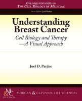 bokomslag Understanding Breast Cancer