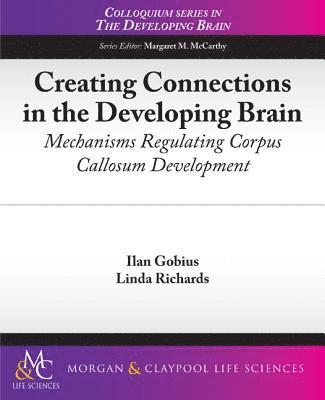Linda Richards, Ilan Gobius - Creating Connections in the Developing Brain, Häftad