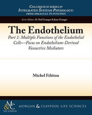 The Endothelium, Part I 1