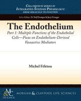 The Endothelium, Part I 1