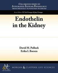 bokomslag Endothelin in the Kidney