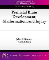 bokomslag Perinatal Brain Development, Malformation, and Injury